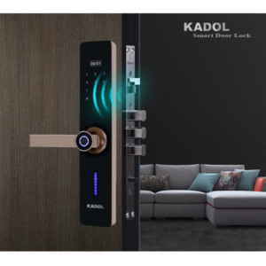 Khóa cửa điện tử Kadol FP29