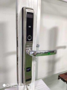 Lap Dat Akita Silver