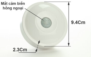 Kích Thước Km S19