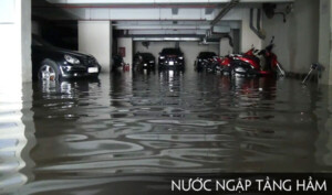 Anh Thuc Te Km 003br