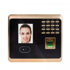 Máy chấm công vân tay TF500F